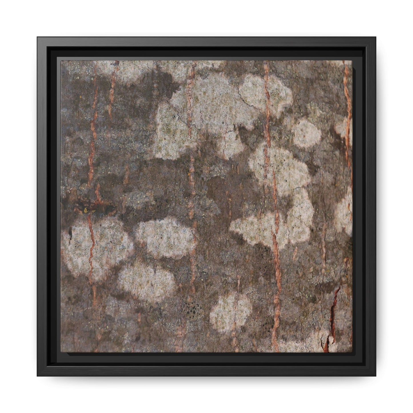 Lichen's Legacy - Unique Stretched Canvas Wall Art