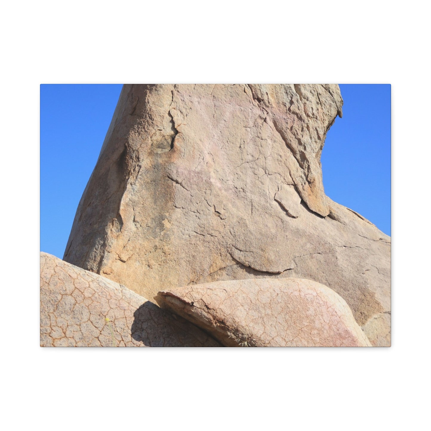 Boulder's Embrace - Unique Frameless Canvas Wall Art