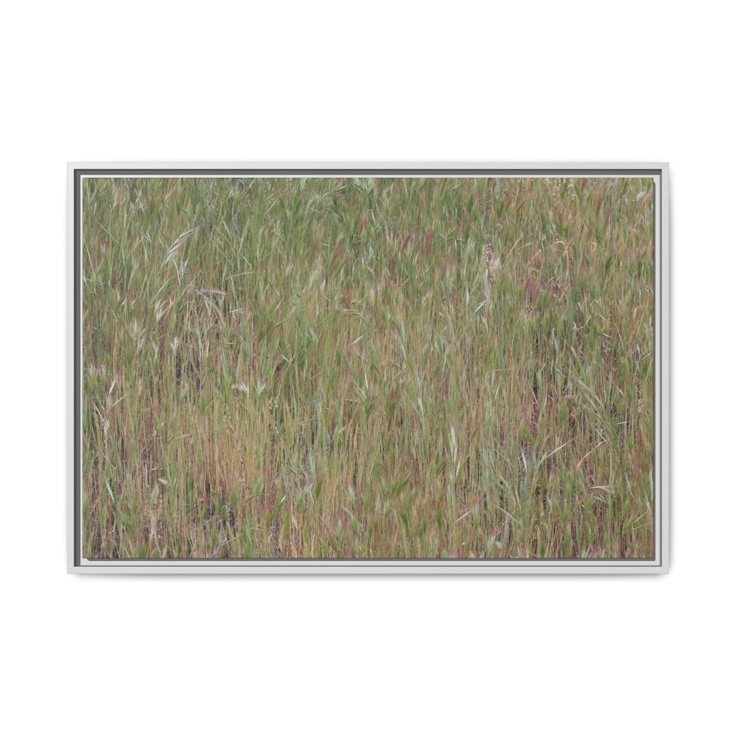 Field of Dreams - Unique Stretched Canvas Wall Art