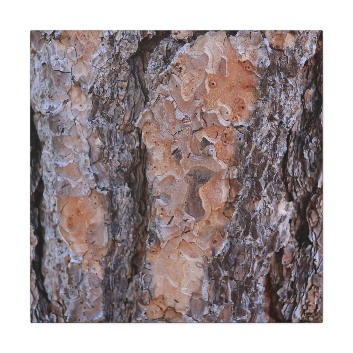 Terracotta Textures - Unique Frameless Canvas Wall Art