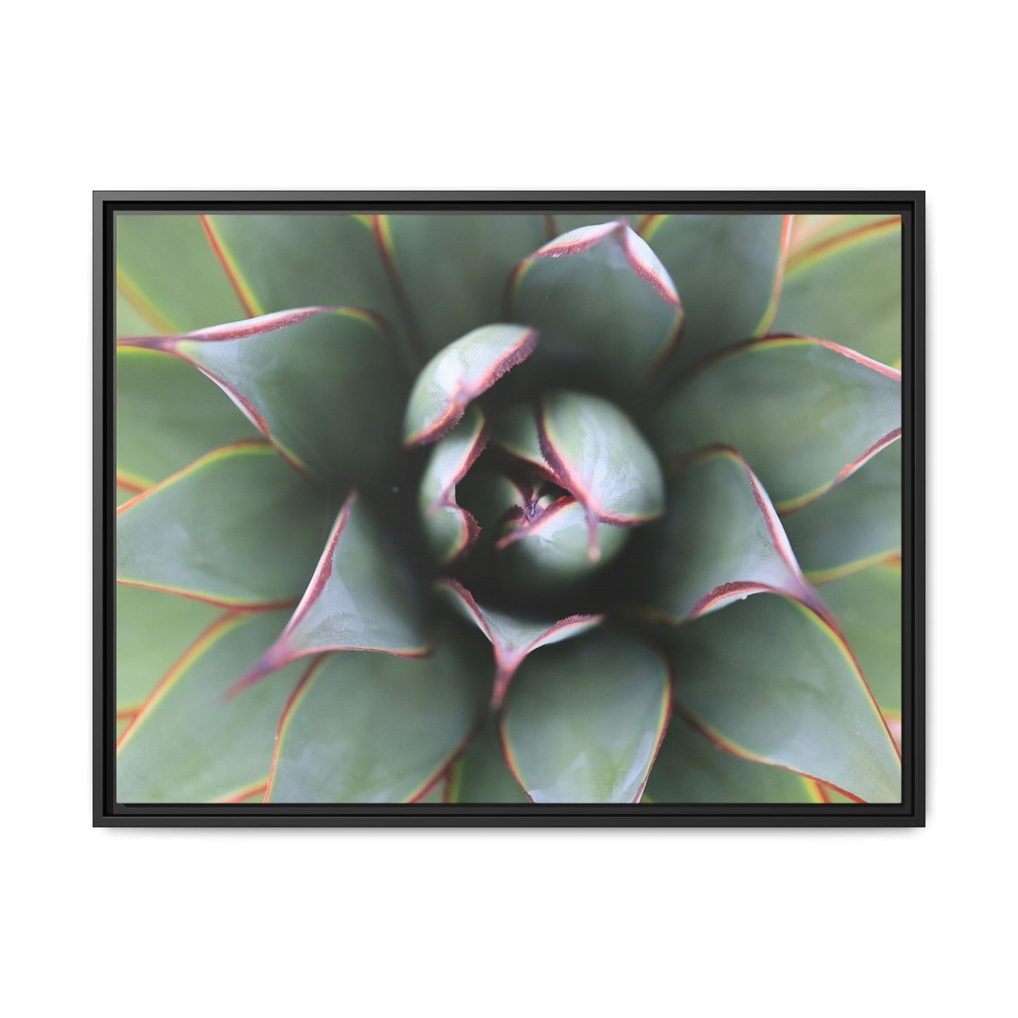 Spiky Elegance - Unique Stretched Canvas Wall Art