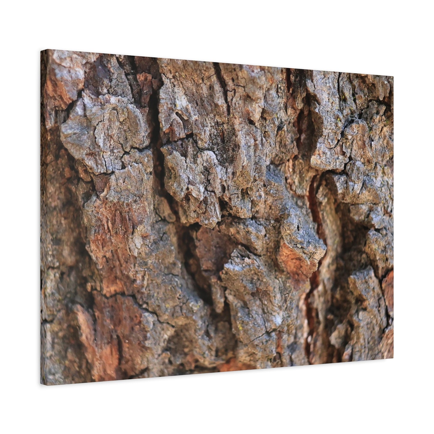 Nature's Skin - Unique Frameless Canvas Wall Art