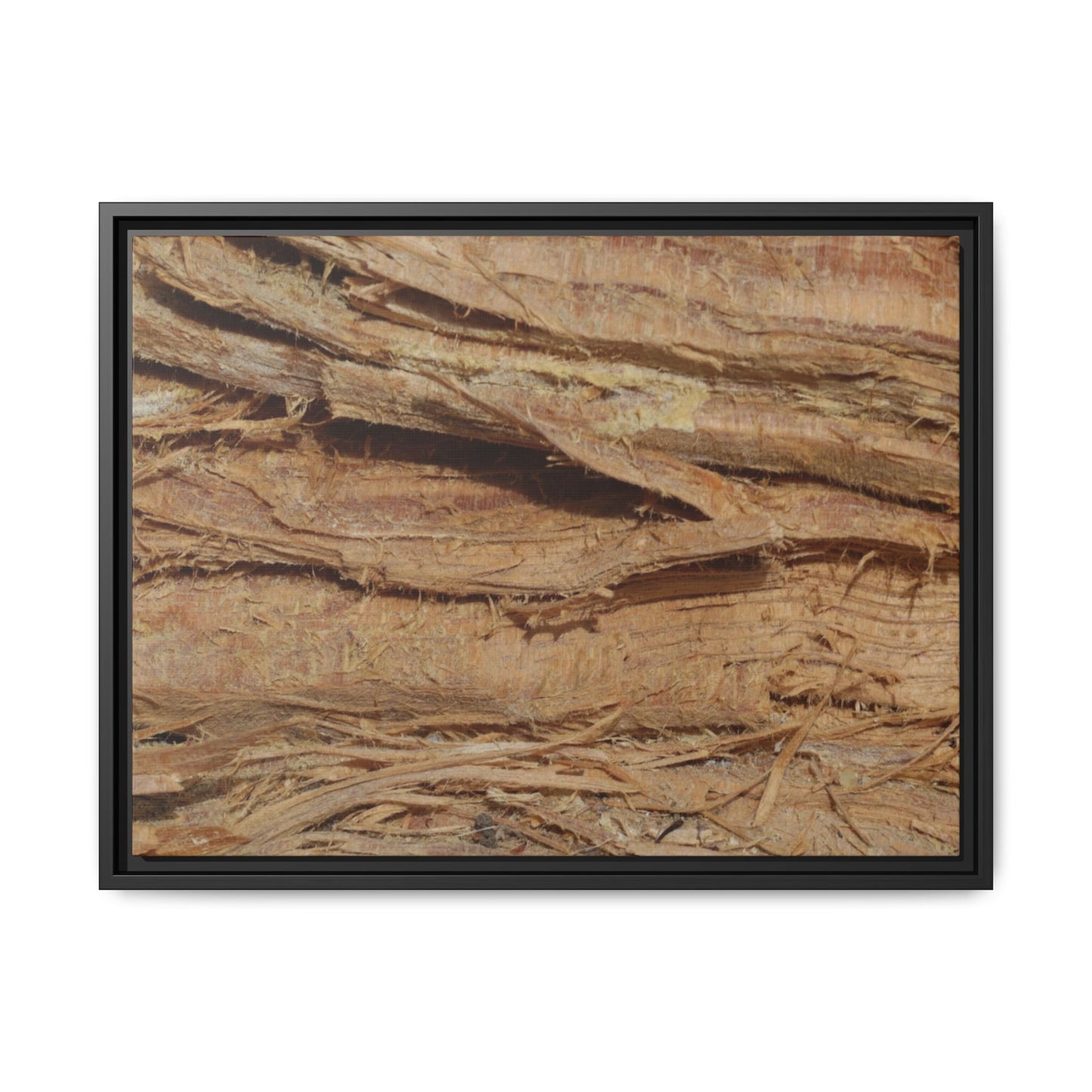 Splintered Bark - Unique Stretched Canvas Wall Art