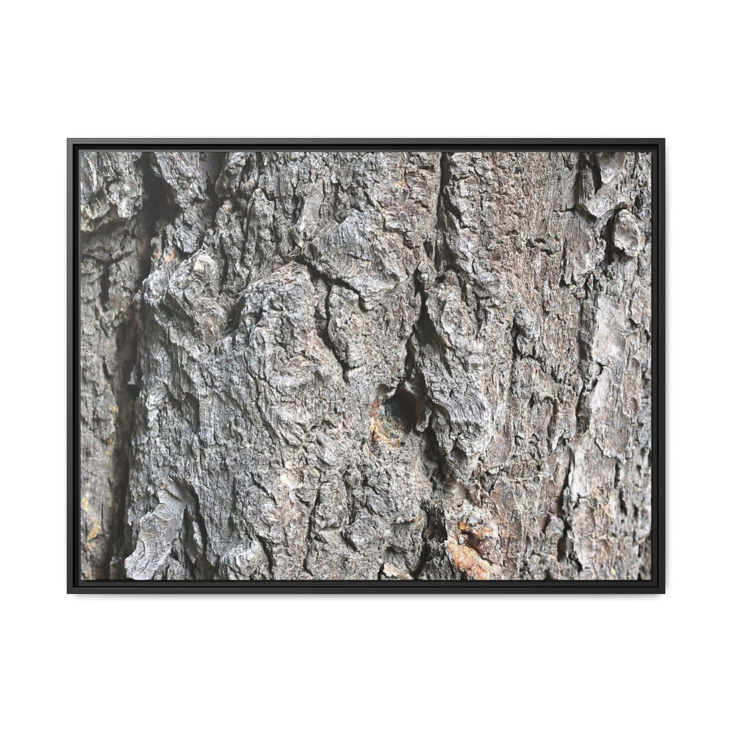 Crusty Exterior - Unique Stretched Canvas Wall Art
