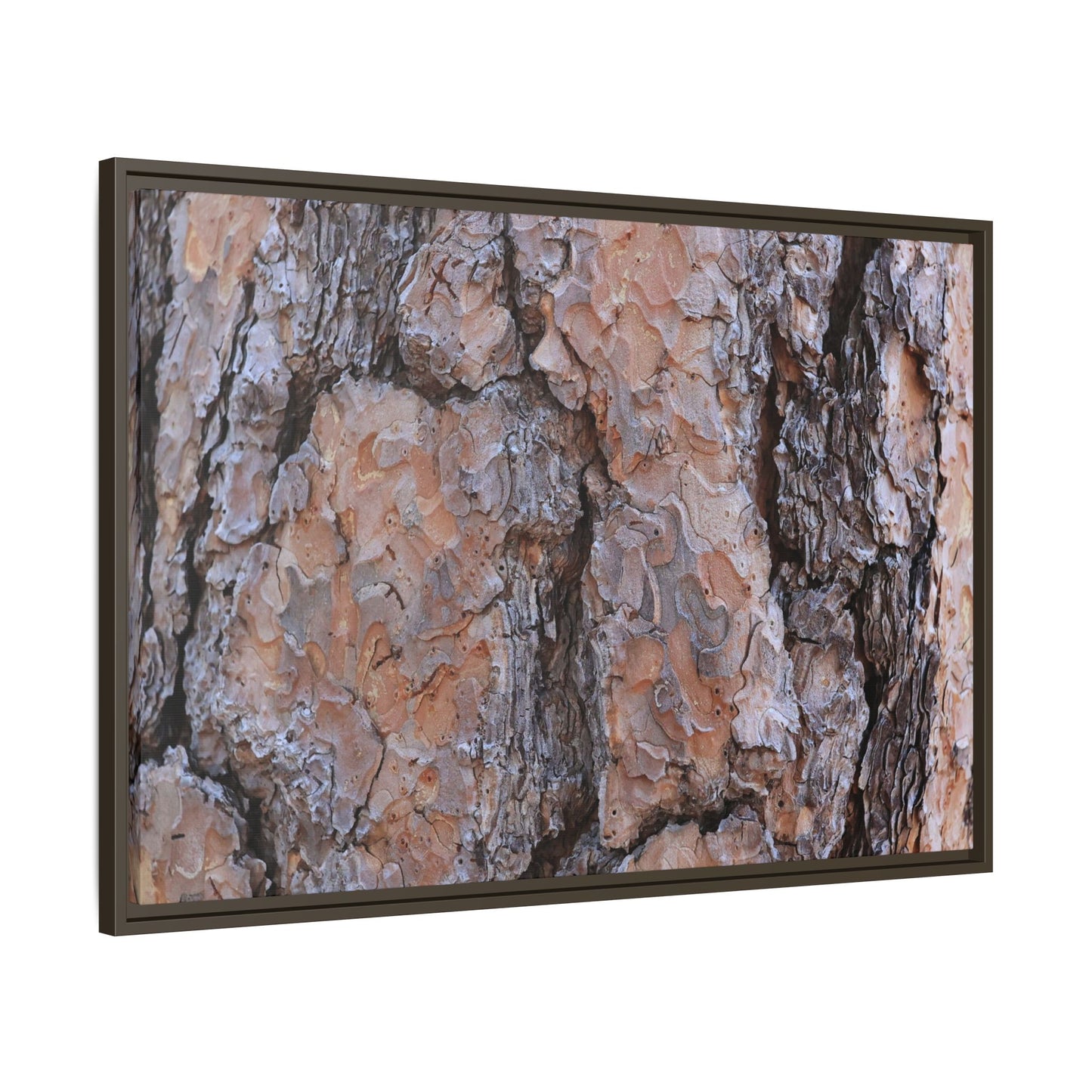 Tree Skin Symphony - Unique Stretched Canvas Wall Art