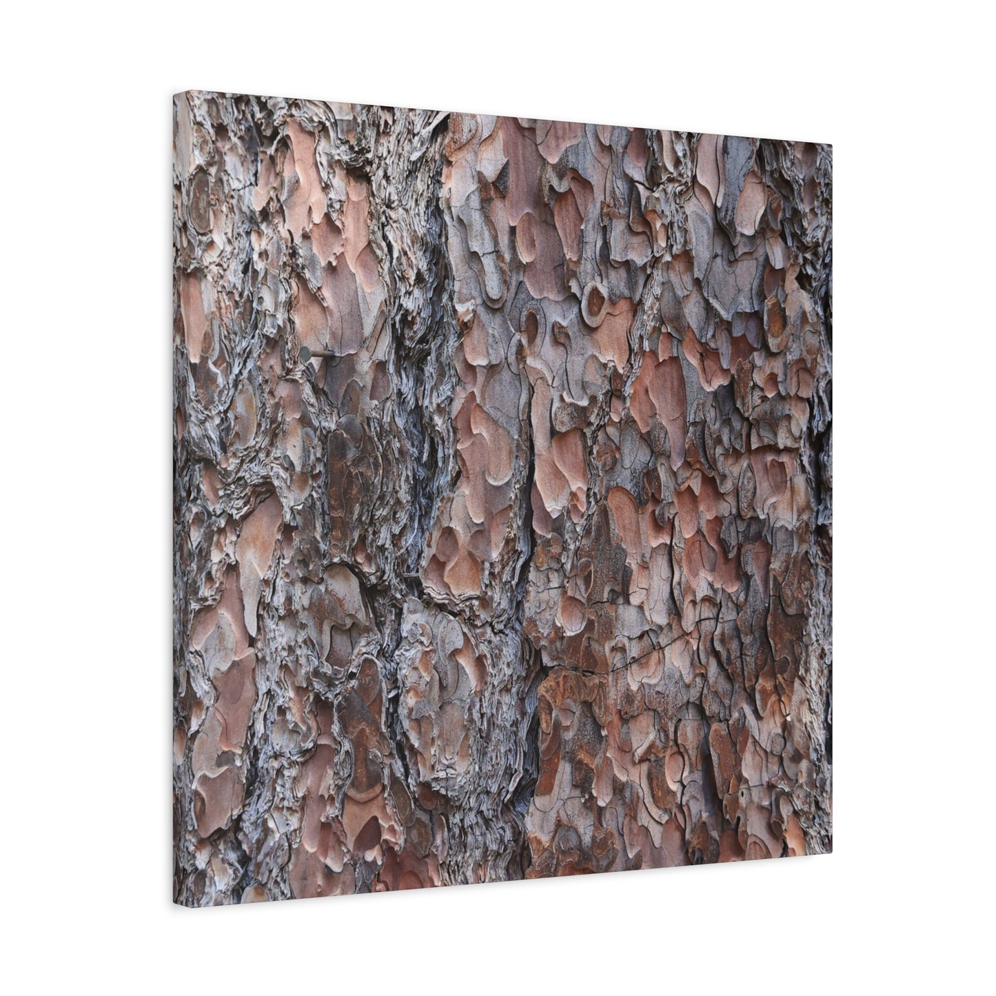 Woodland Armor - Unique Frameless Canvas Wall Art