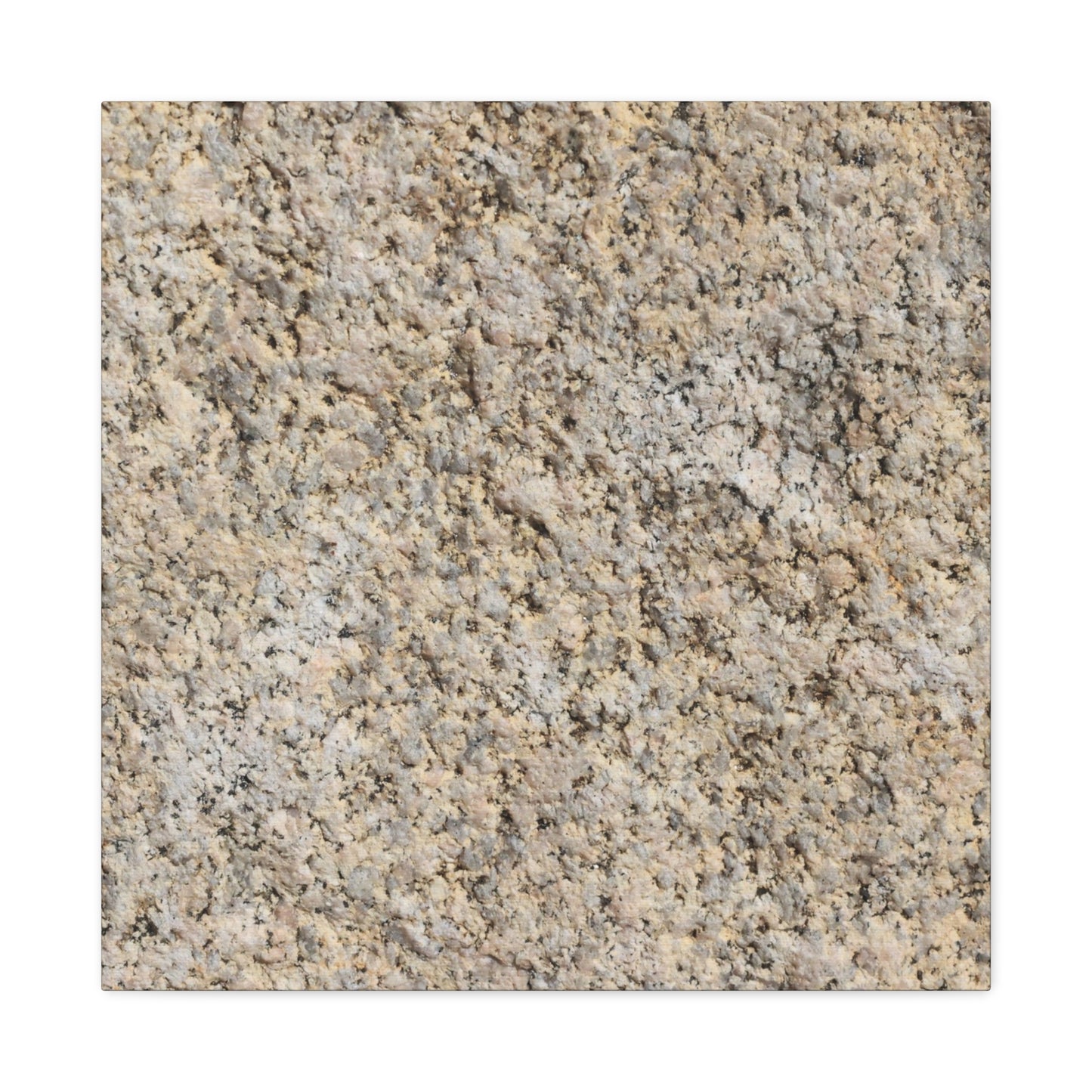 Granular Echoes - Unique Frameless Canvas Wall Art