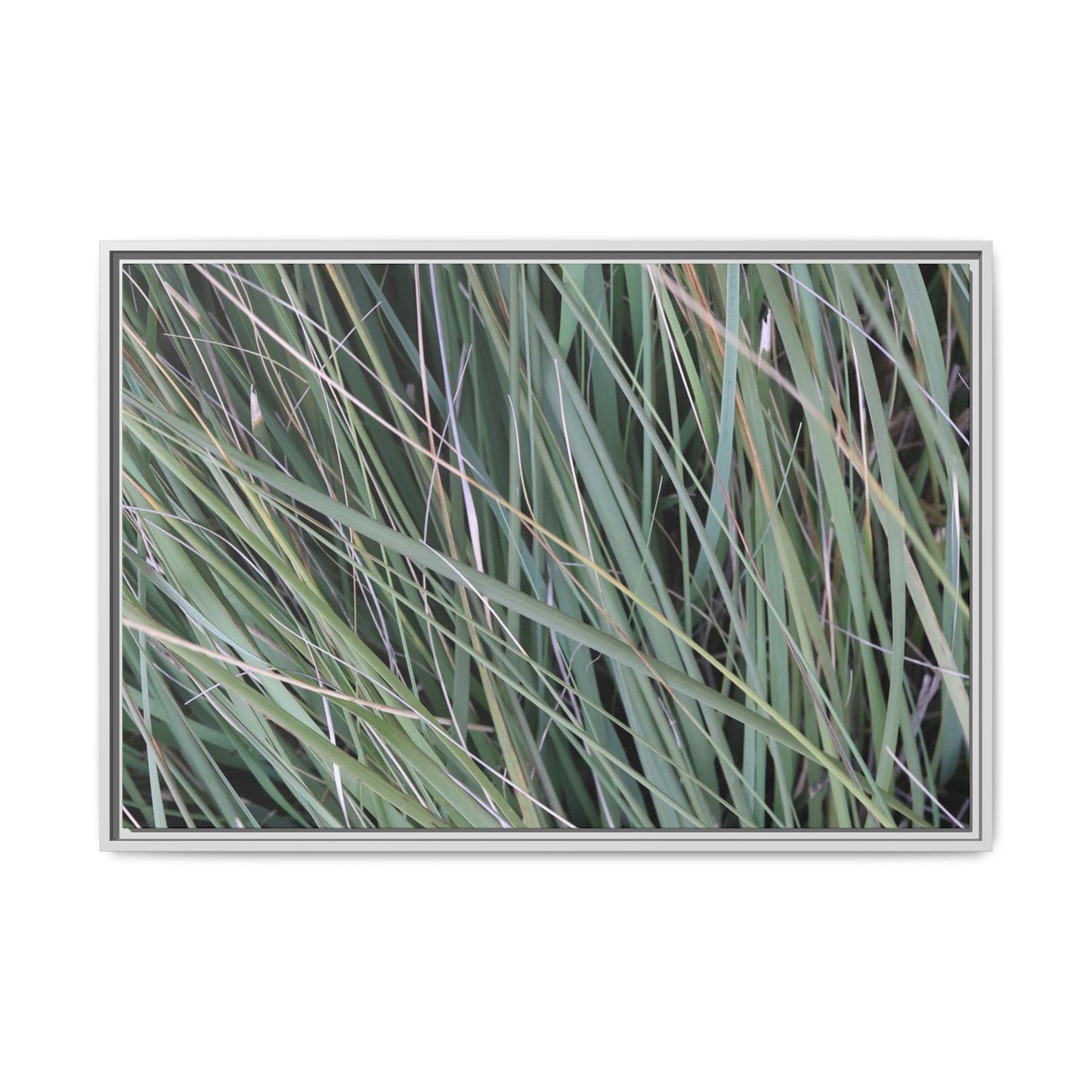Grassland Symphony - Unique Stretched Canvas Wall Art