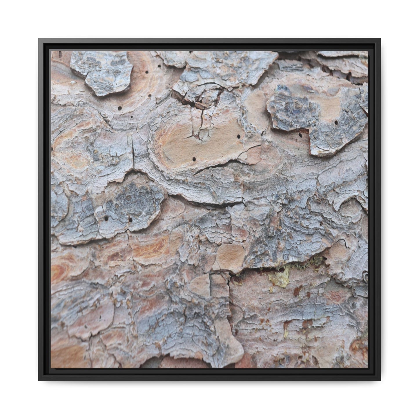 Peeling Memories - Unique Stretched Canvas Wall Art