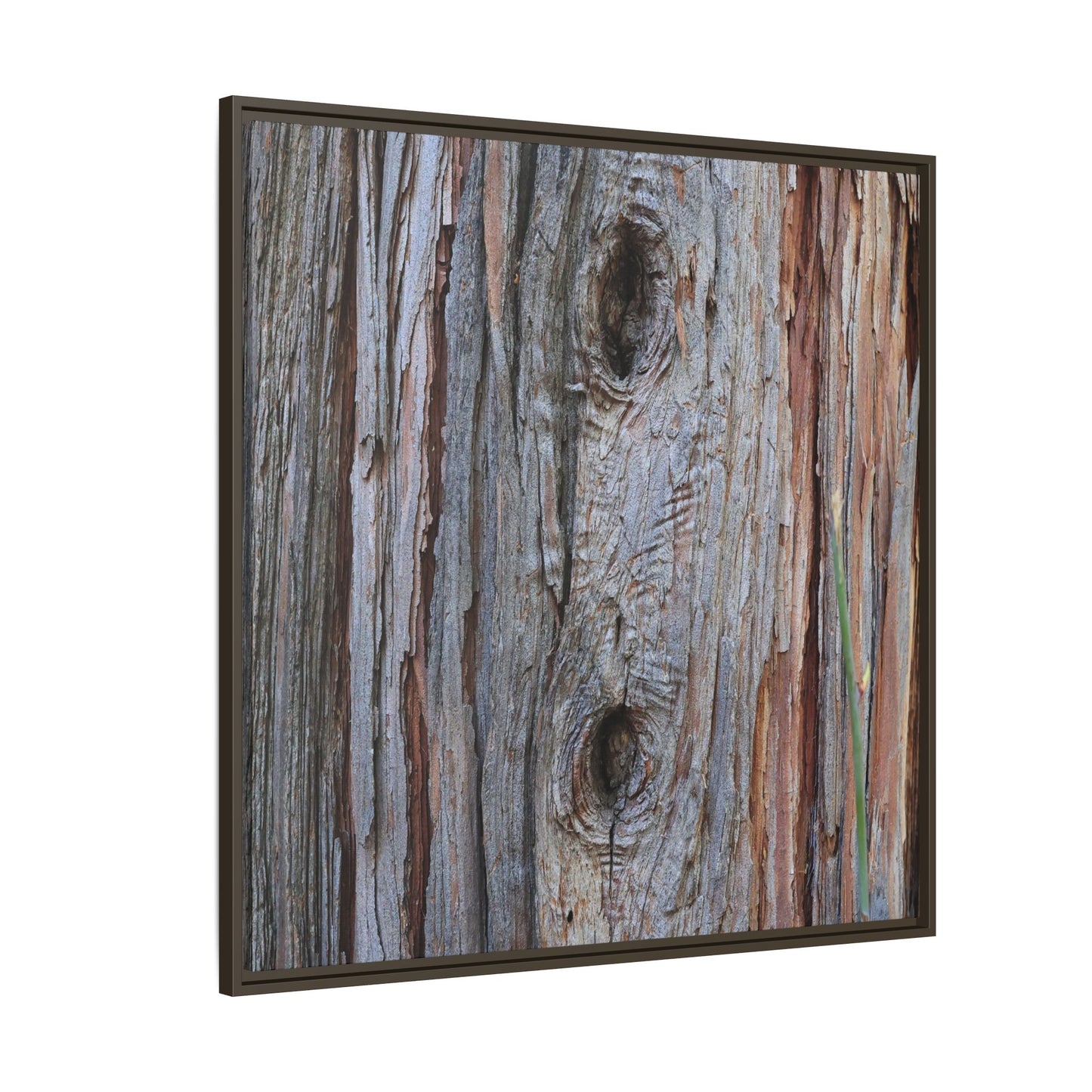 Knotty Nature - Unique Stretched Canvas Wall Art
