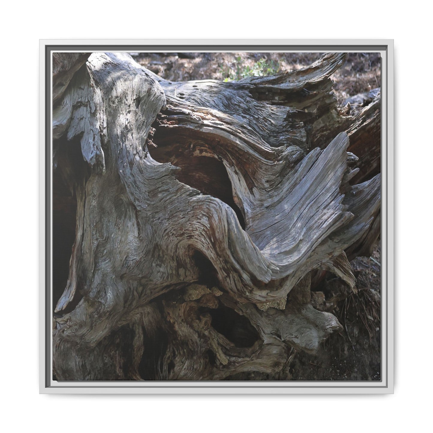 Twisted Memories - Unique Stretched Canvas Wall Art