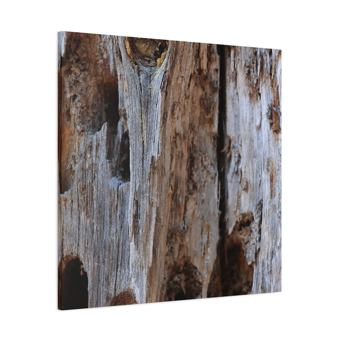 Timber Tapestry - Unique Frameless Canvas Wall Art