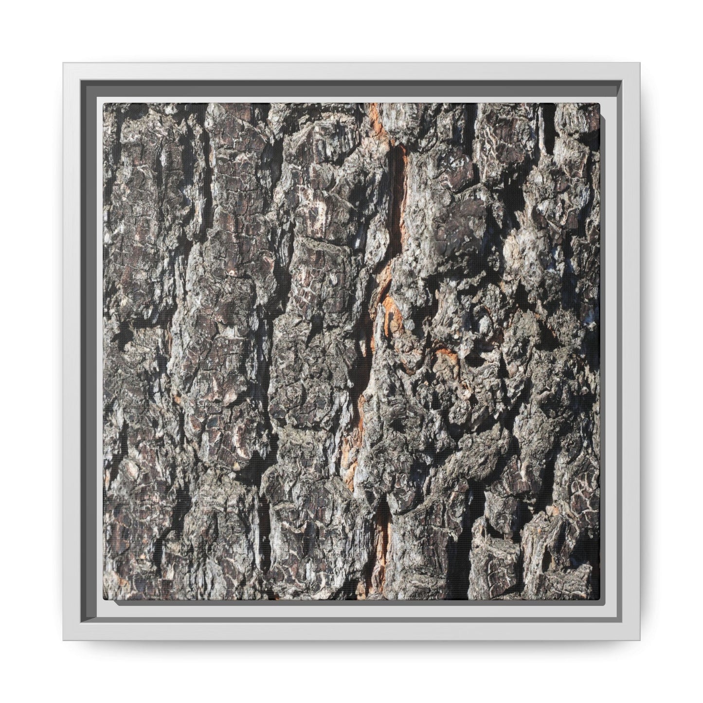 Aged Beauty - Unique Stretched Canvas Wall Art