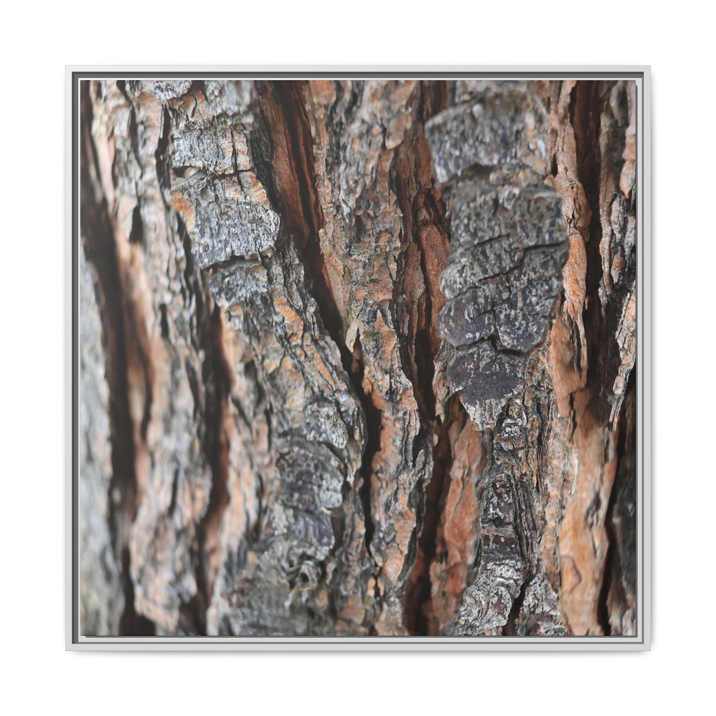 Fractured Nature - Unique Stretched Canvas Wall Art