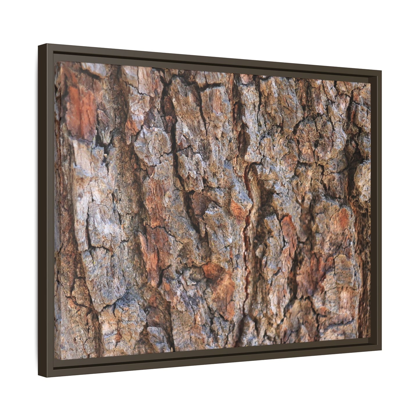 Tree's Timeworn Tale - Unique Stretched Canvas Wall Art