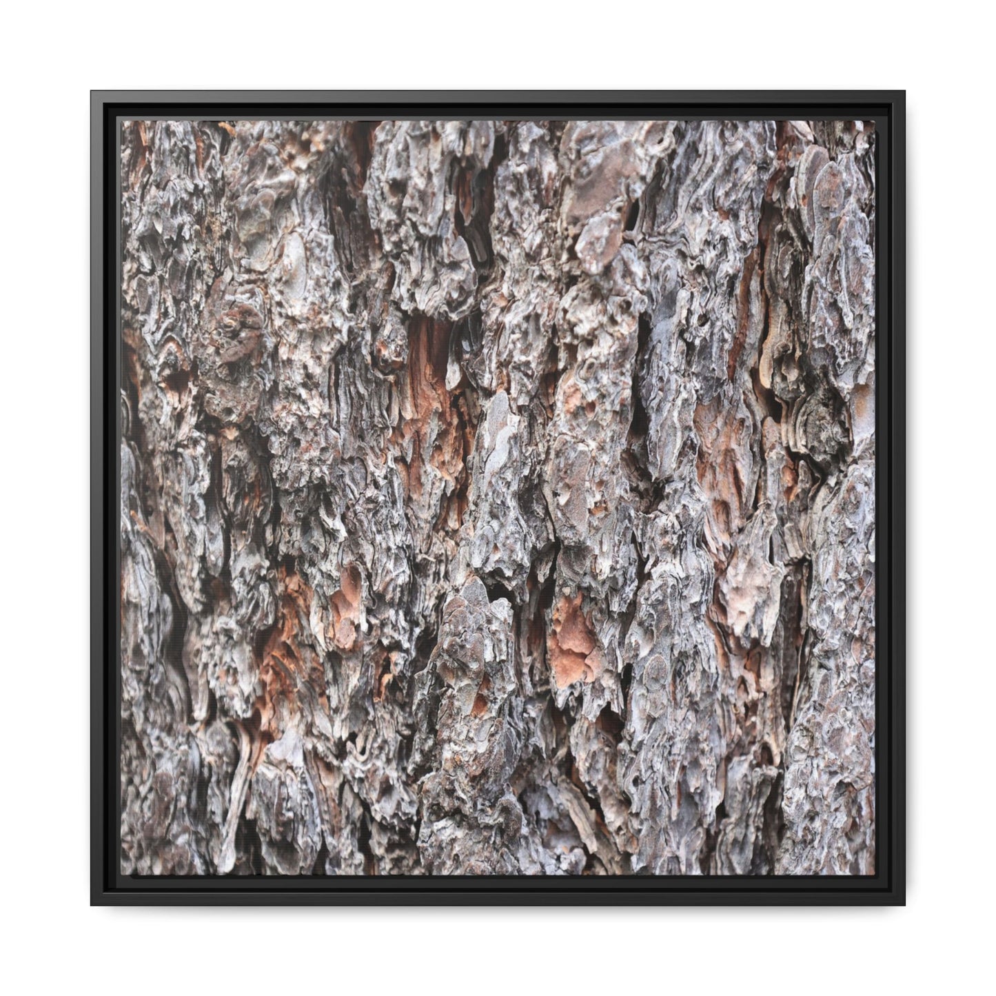 Rugged Cortex - Unique Stretched Canvas Wall Art