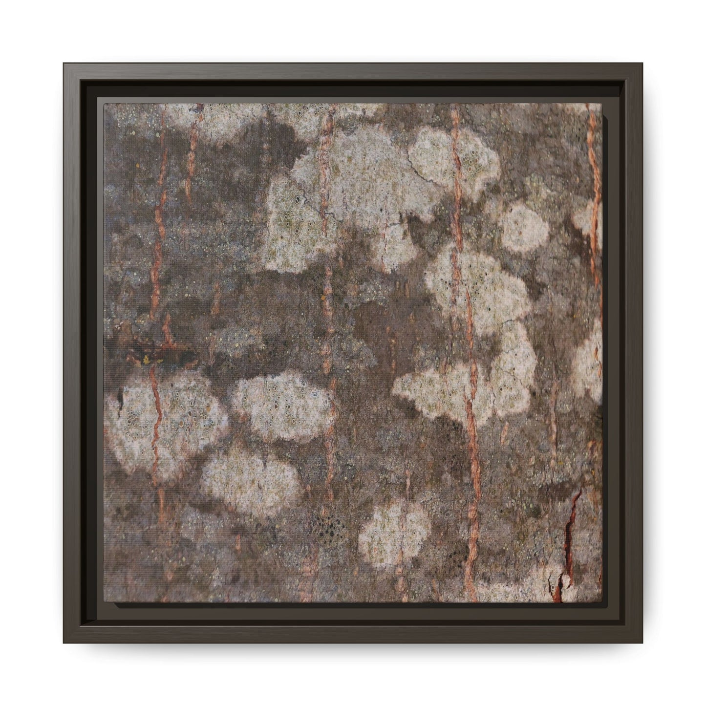 Lichen's Legacy - Unique Stretched Canvas Wall Art