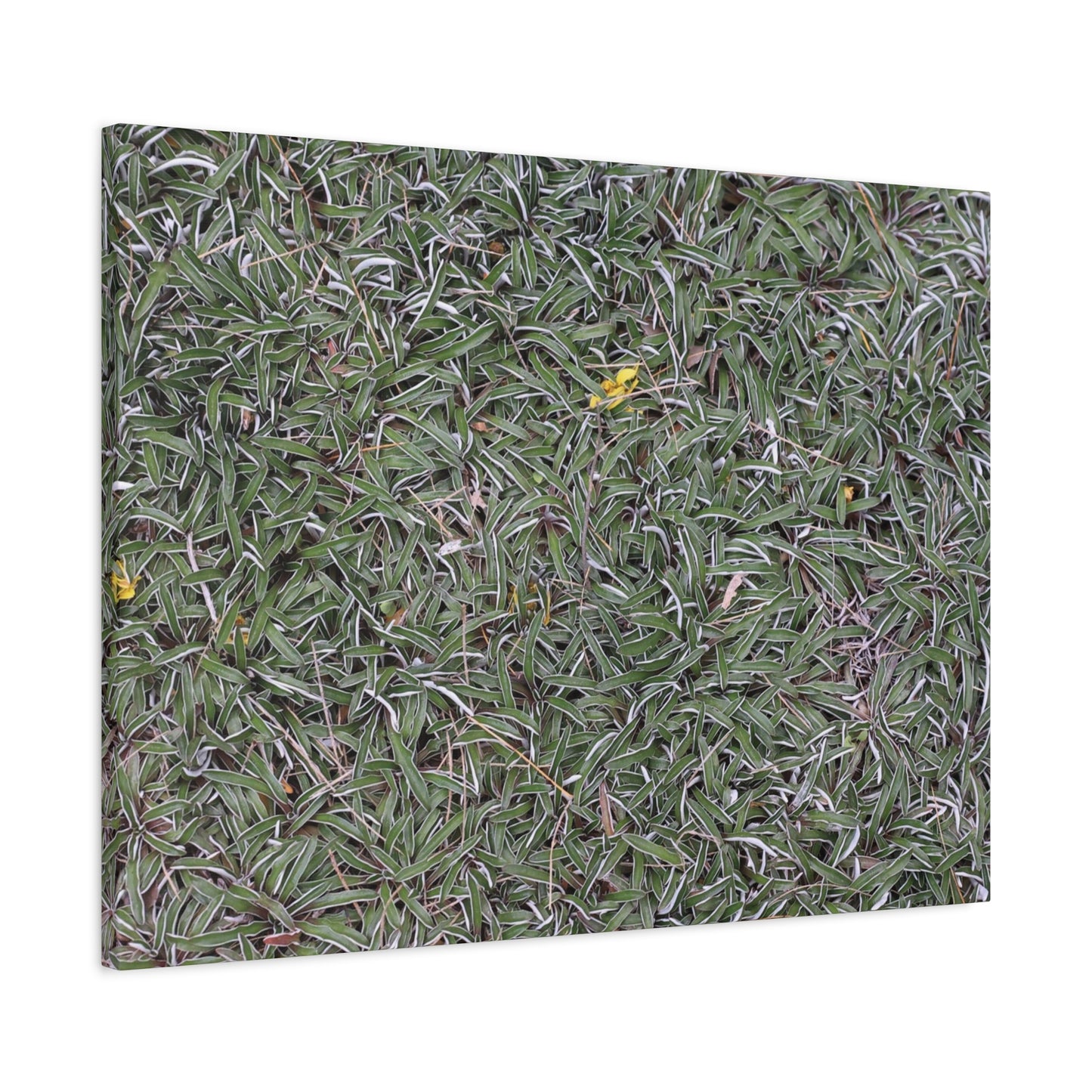 Tangled Memories - Unique Frameless Canvas Wall Art