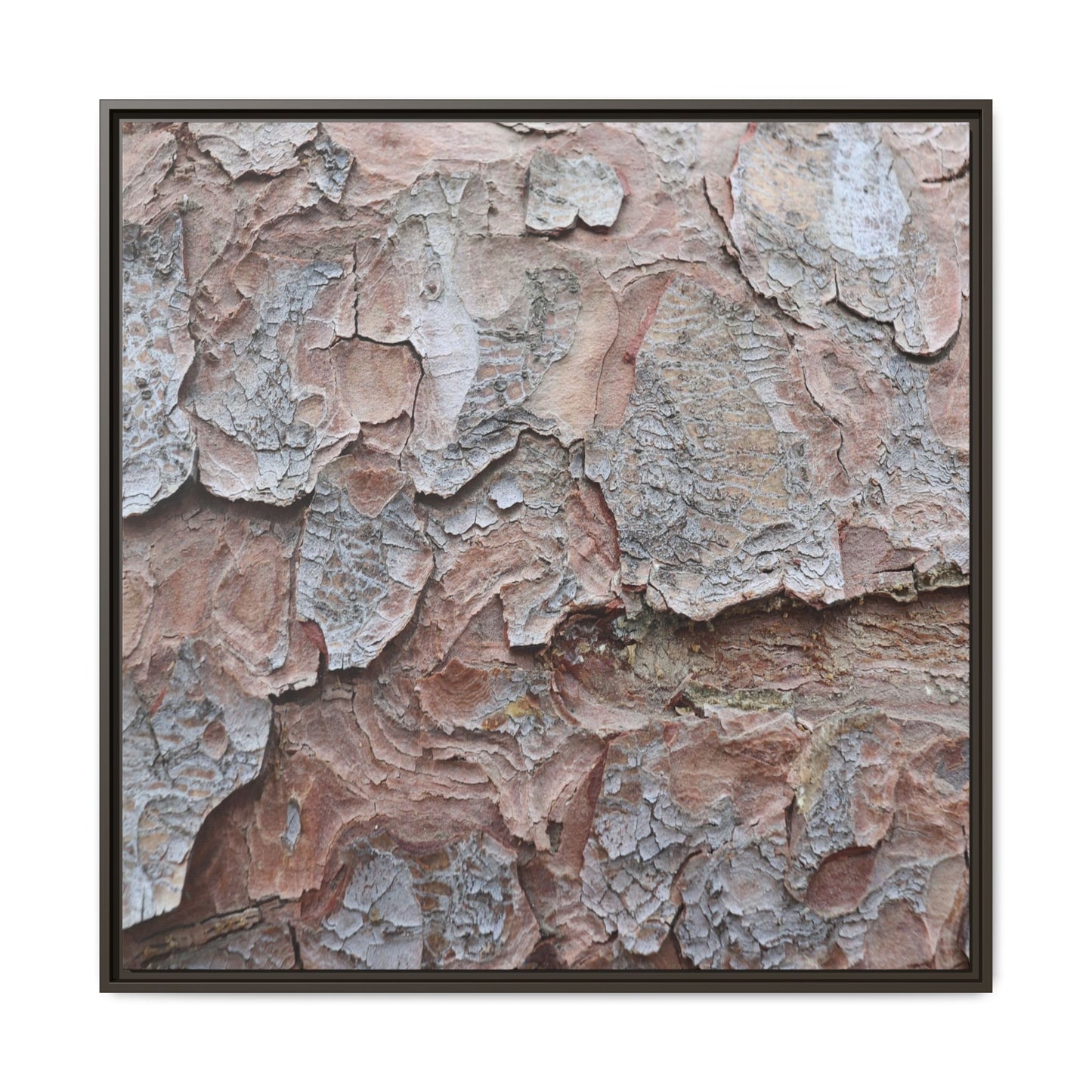 Flaking Serenity - Unique Stretched Canvas Wall Art