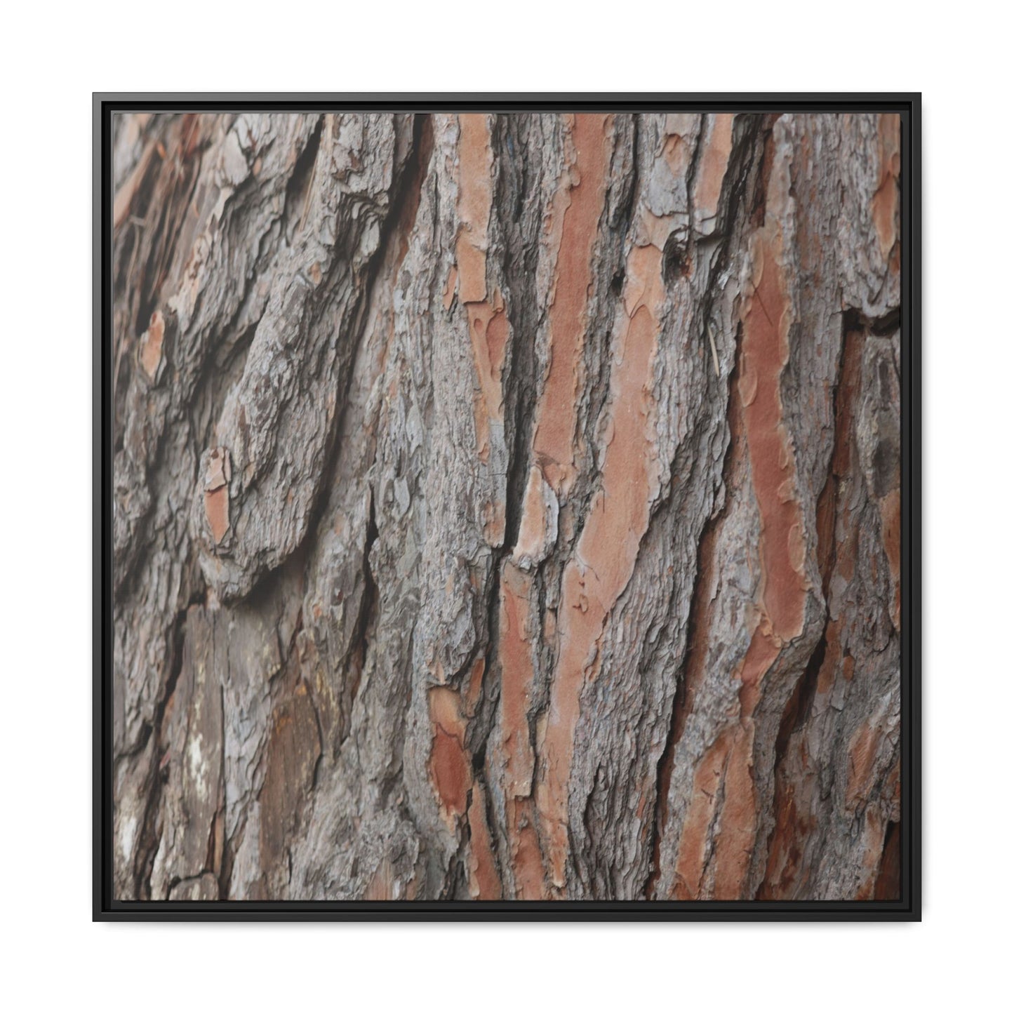 Woodland Layers - Unique Stretched Canvas Wall Art