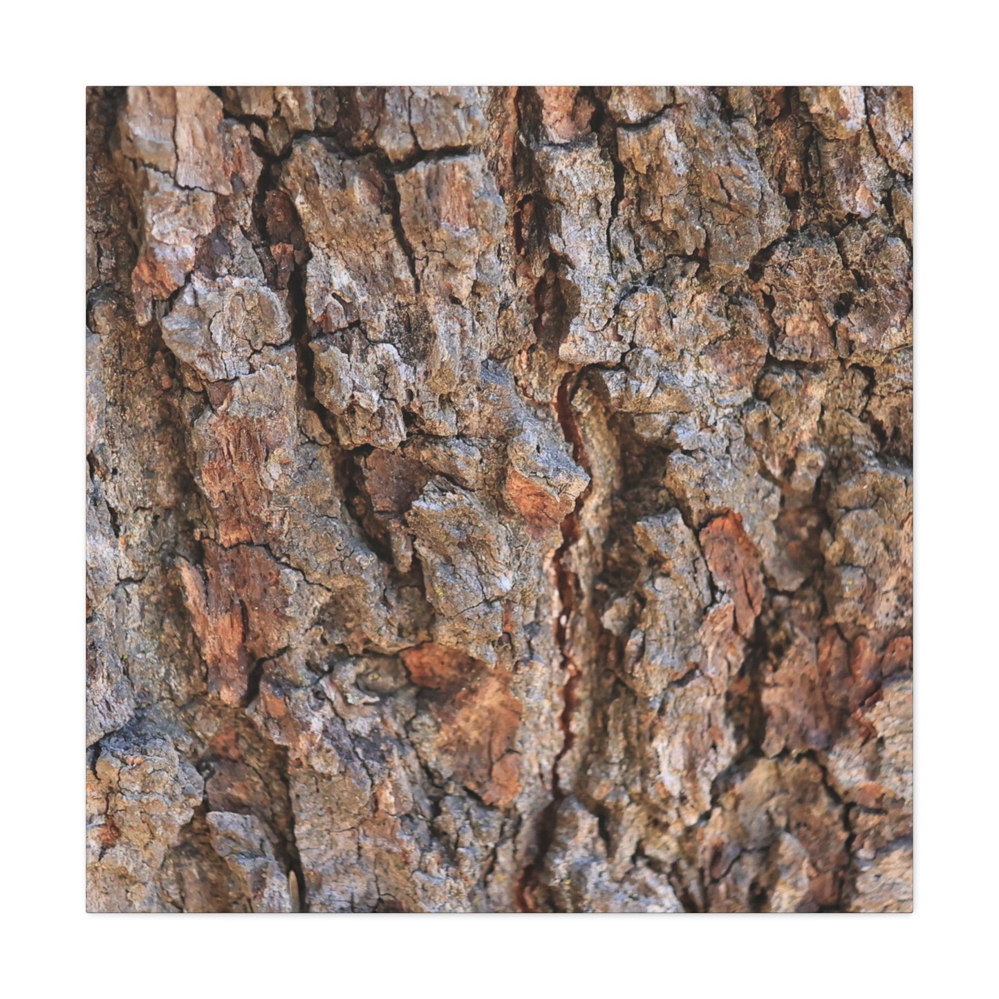 Roots of Time - Unique Frameless Canvas Wall Art
