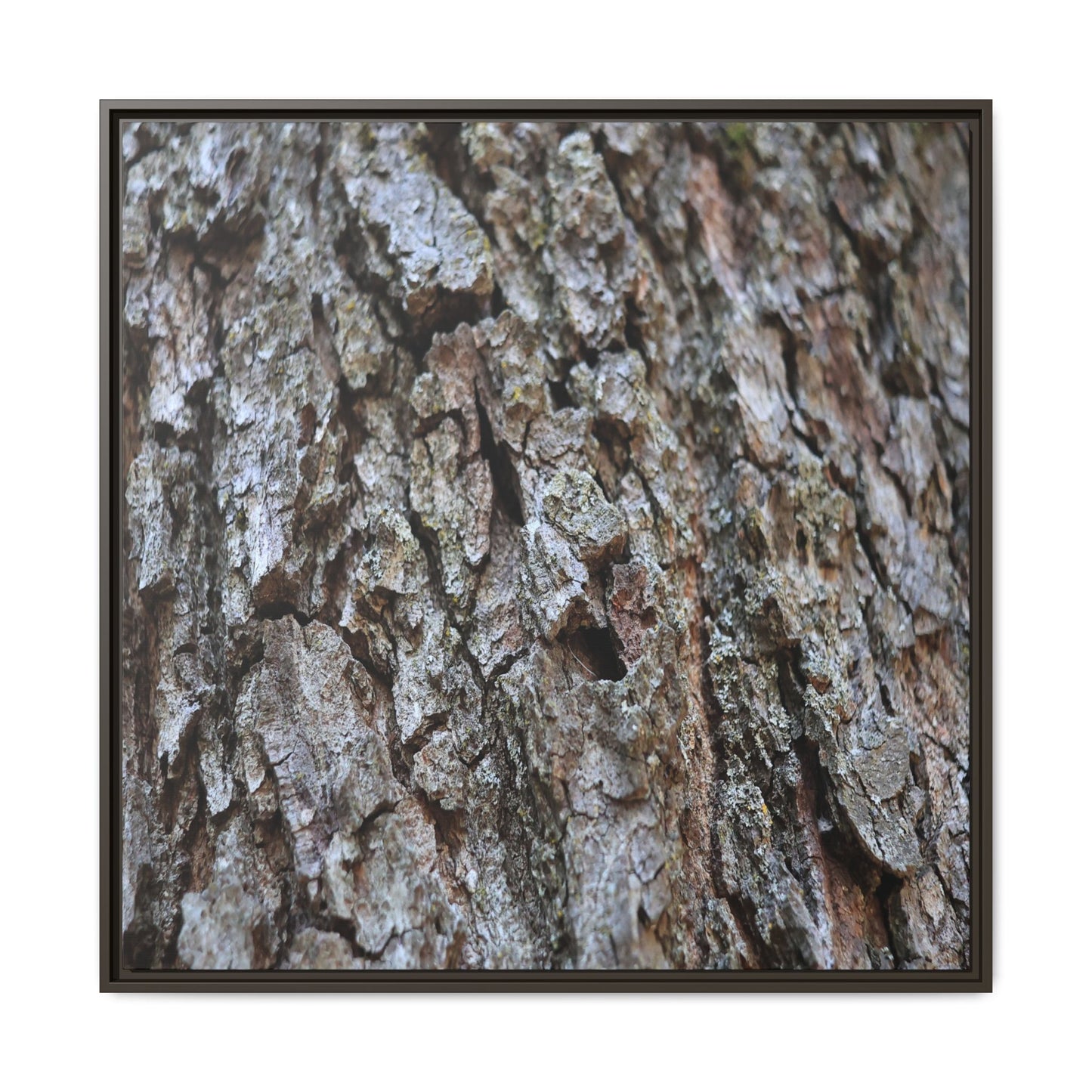 Woodland Canvas - Unique Stretched Canvas Wall Art