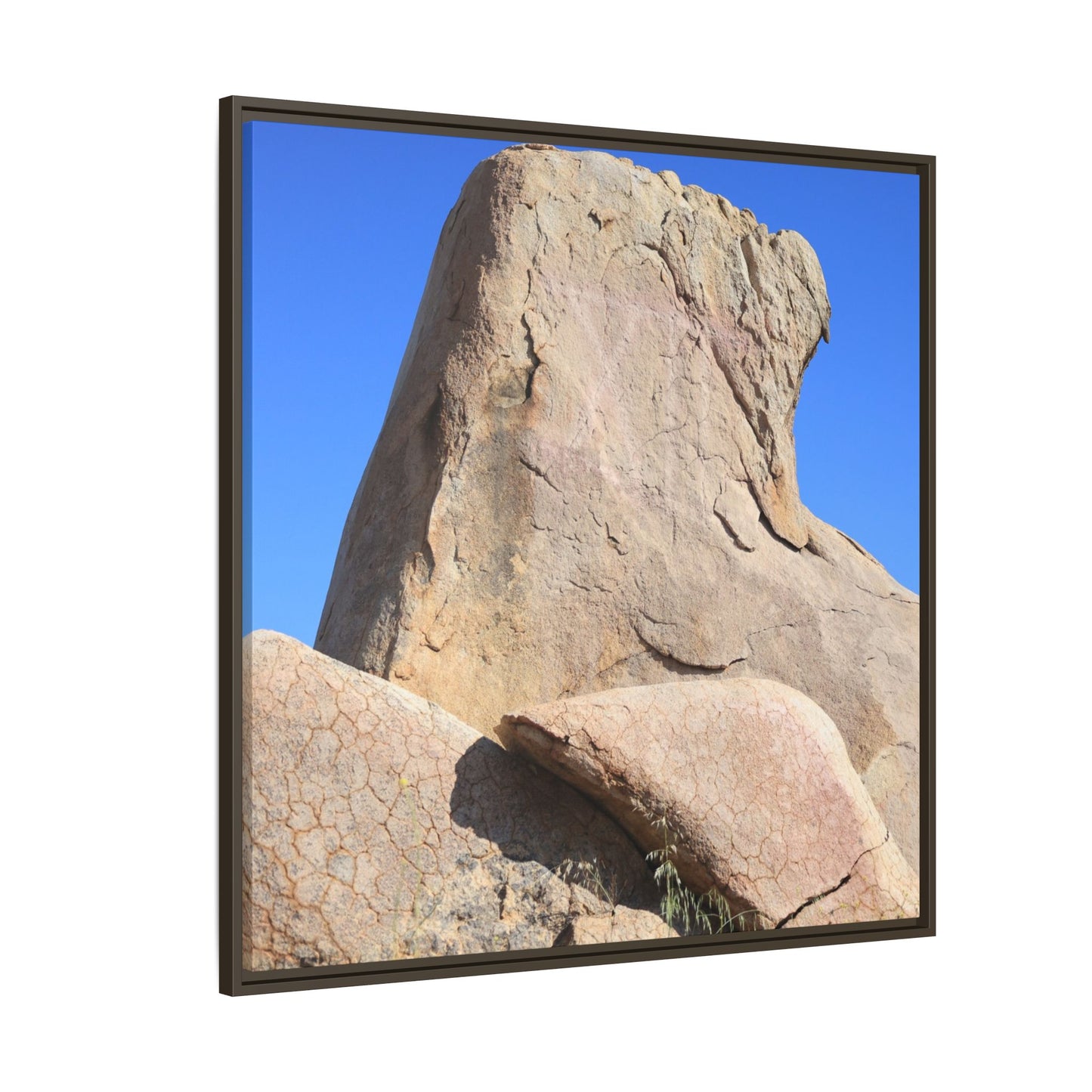 Rocky Sentinel - Unique Stretched Canvas Wall Art