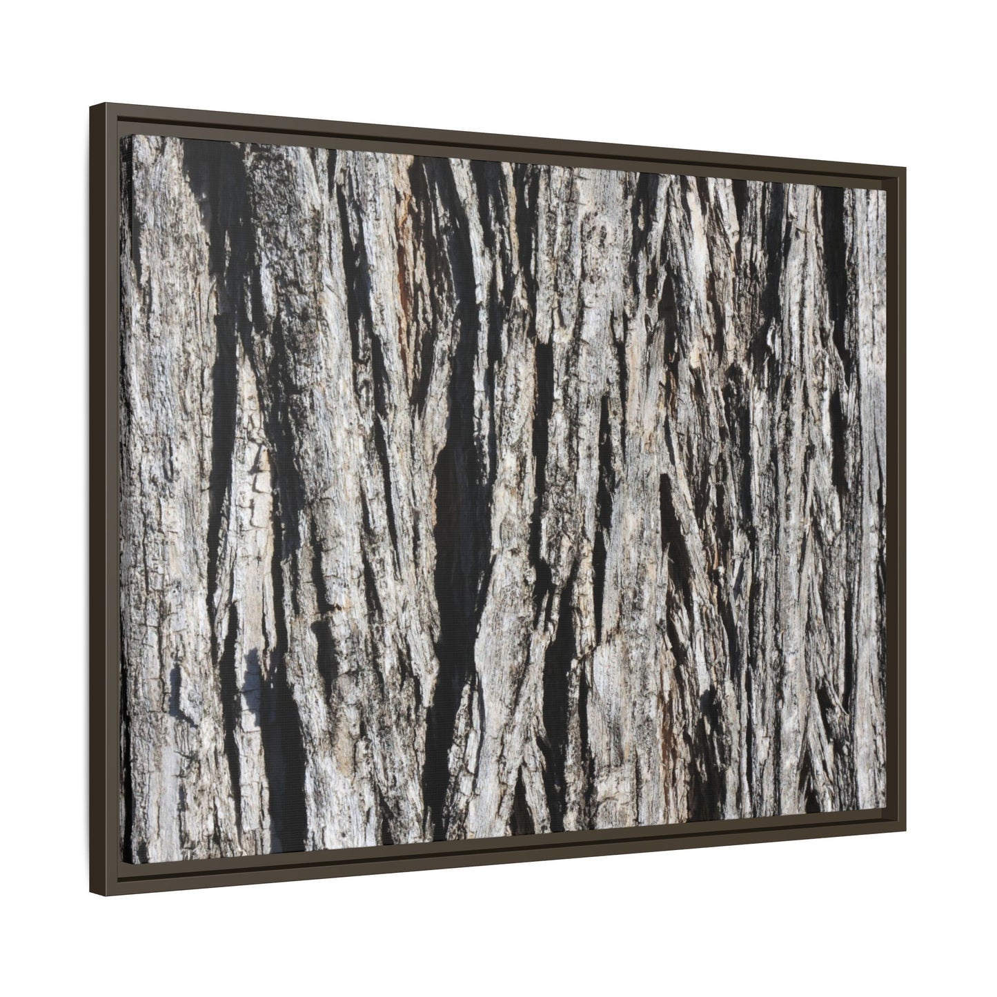 Bark Lines - Unique Stretched Canvas Wall Art