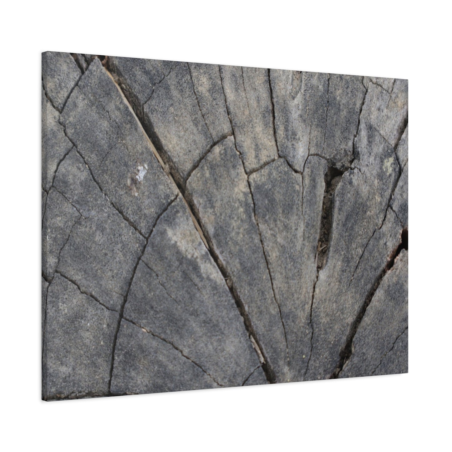 Geological Mosaic - Unique Frameless Canvas Wall Art