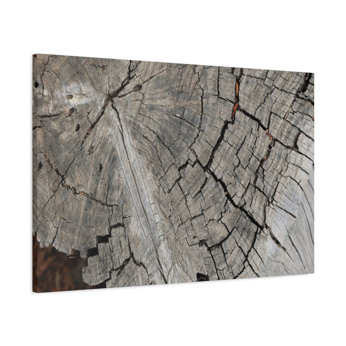 Cracked Memories - Unique Frameless Canvas Wall Art