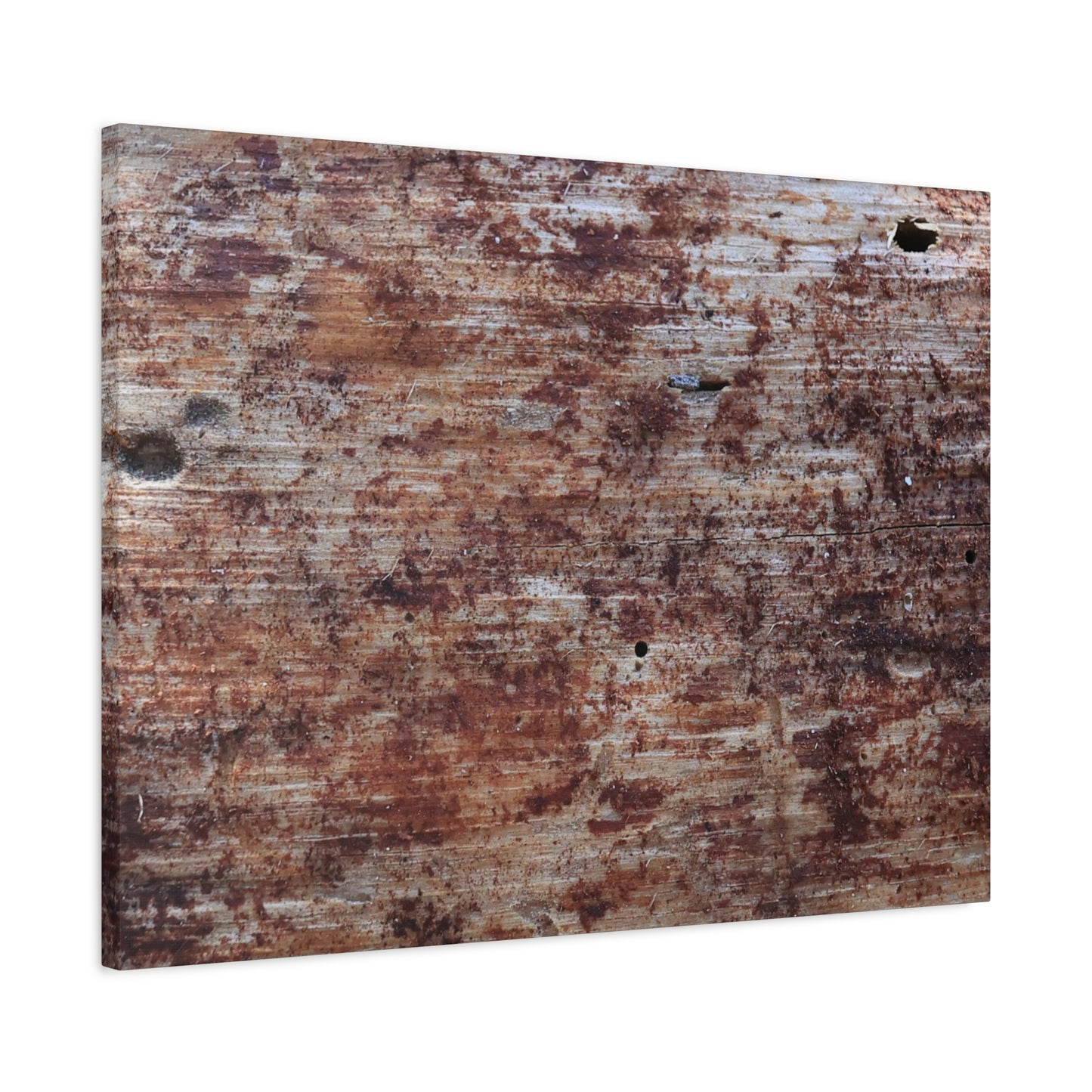 Decaying Memoir - Unique Frameless Canvas Wall Art