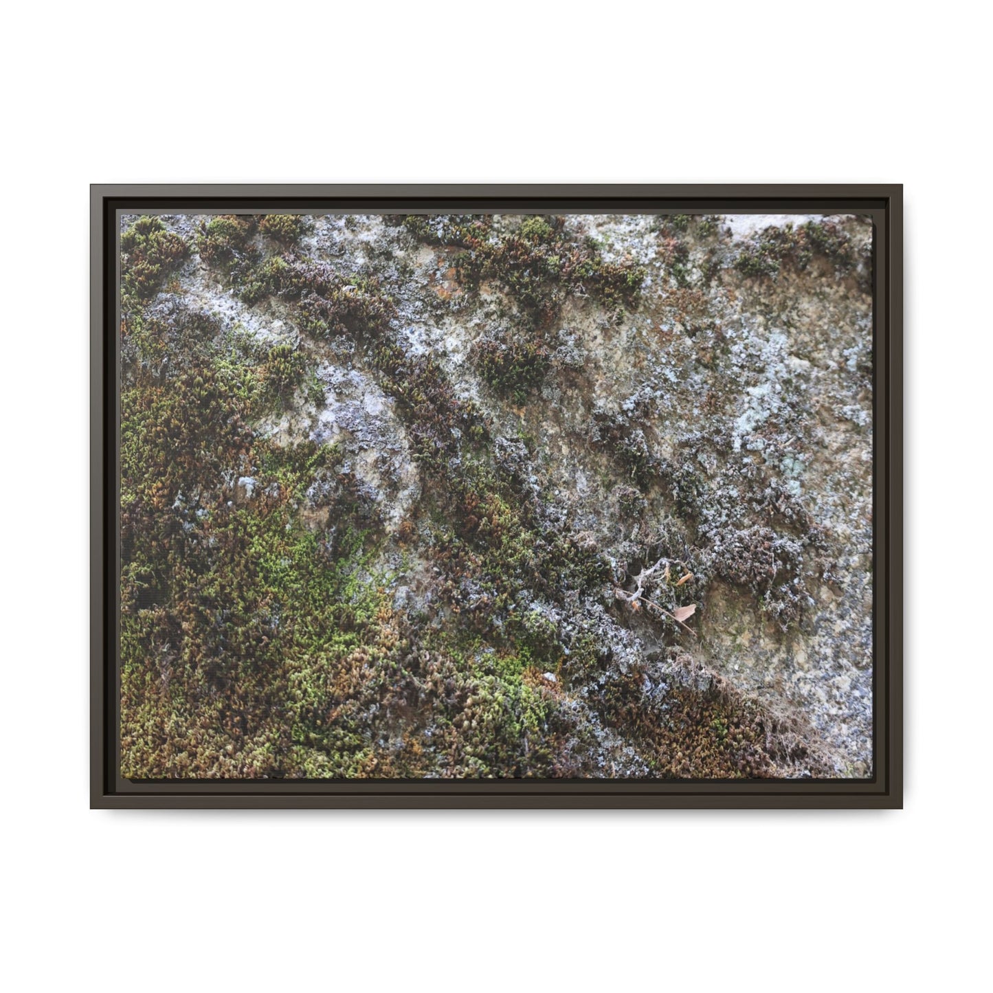 Mossy Whispers - Unique Stretched Canvas Wall Art