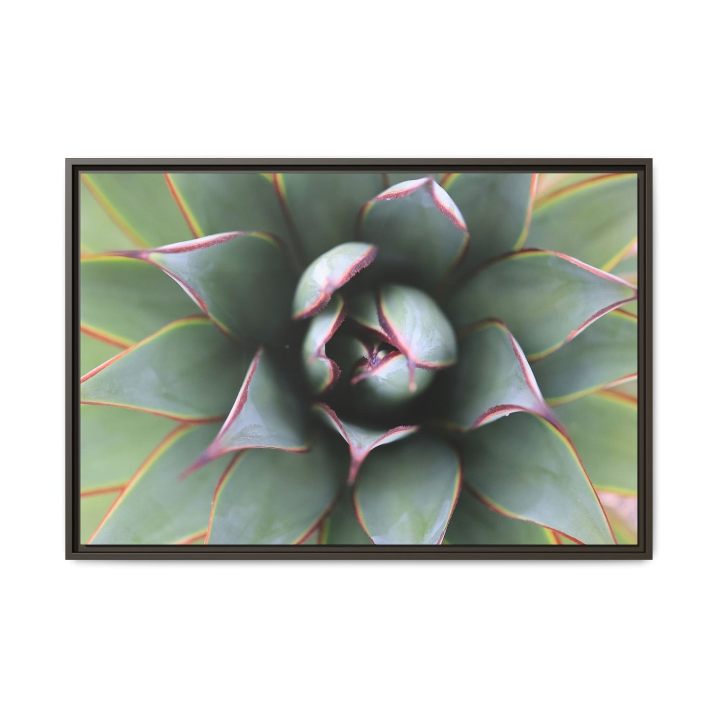 Spiky Elegance - Unique Stretched Canvas Wall Art