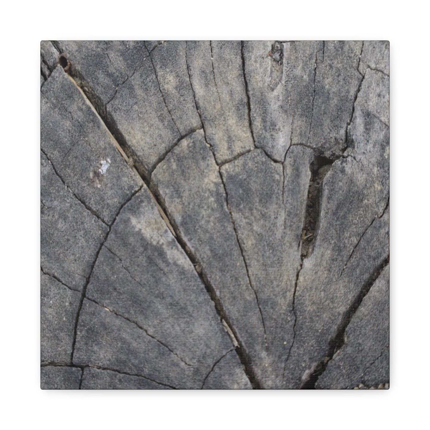 Geological Mosaic - Unique Frameless Canvas Wall Art