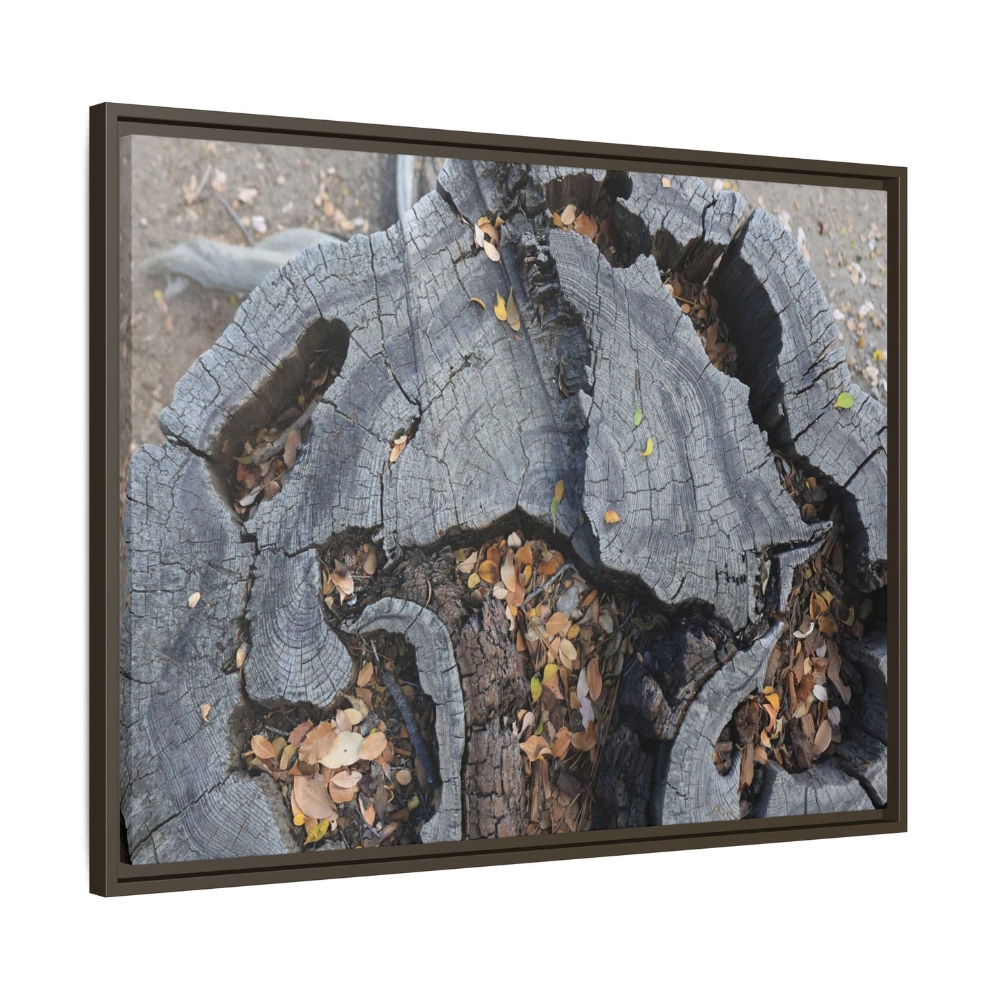 Time's Fractal Memory - Unique Stretched Canvas Wall Art