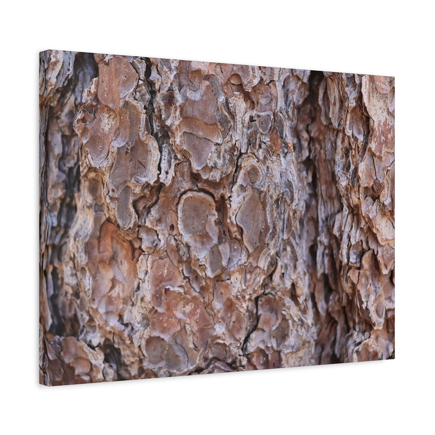 Rugged Bark Landscape - Unique Frameless Canvas Wall Art