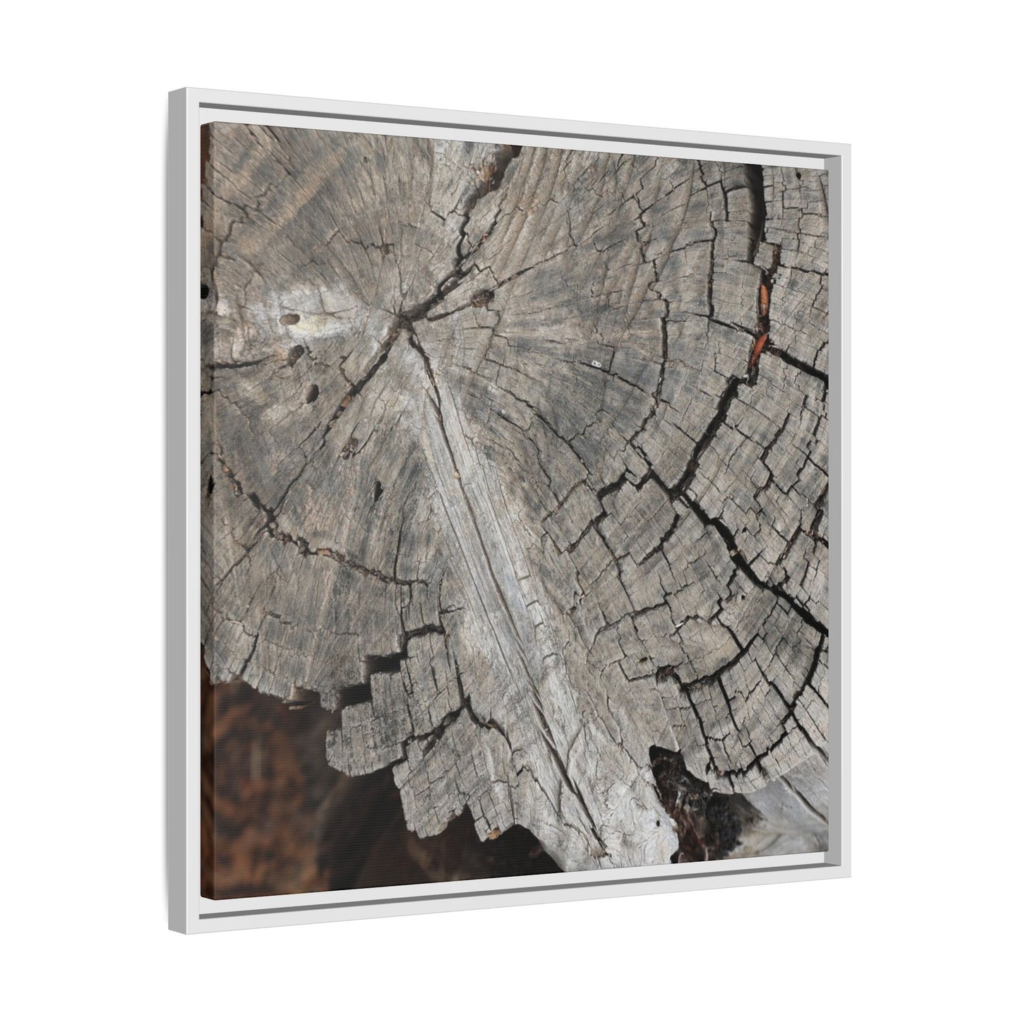 Time's Signature - Unique Stretched Canvas Wall Art