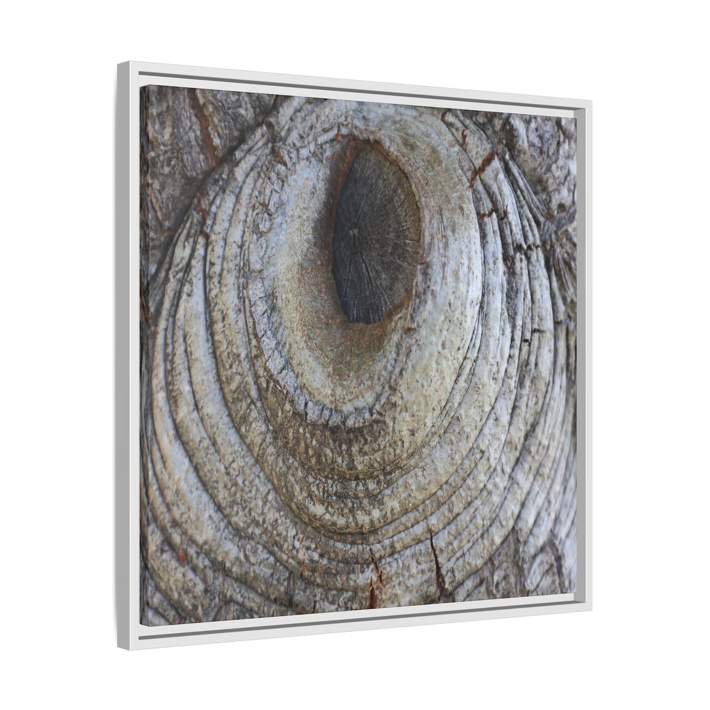 Echoes of Time - Unique Stretched Canvas Wall Art