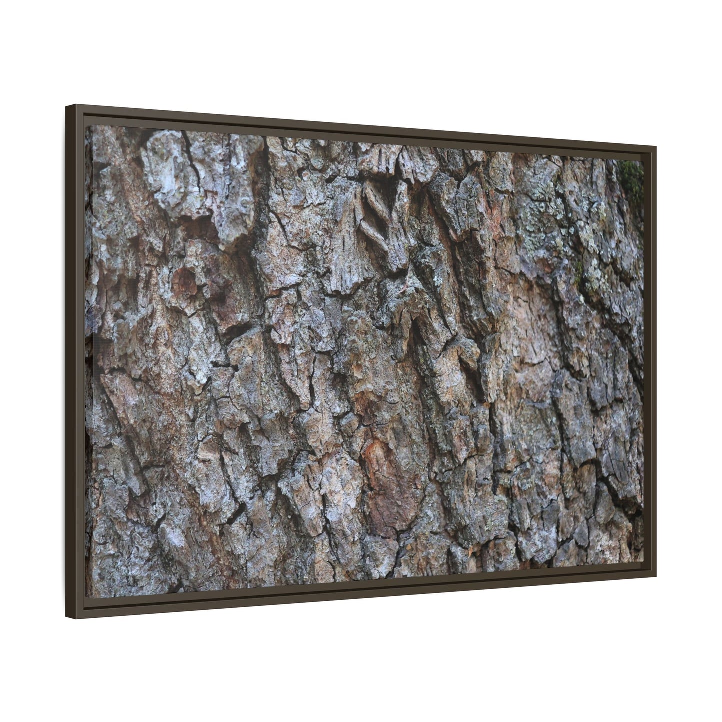 Woodland Skin - Unique Stretched Canvas Wall Art