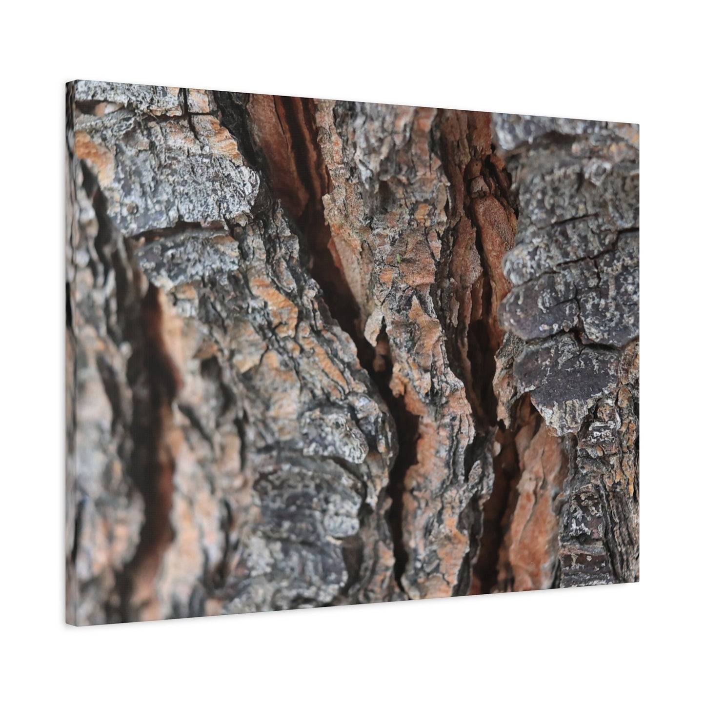Rough Whispers - Unique Frameless Canvas Wall Art