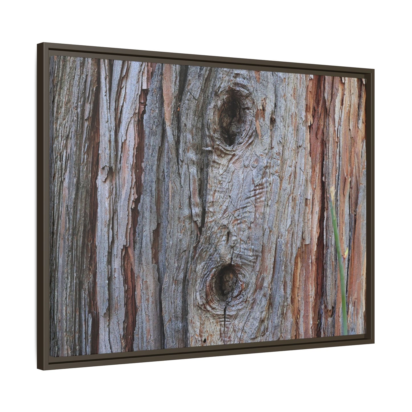 Knotty Nature - Unique Stretched Canvas Wall Art