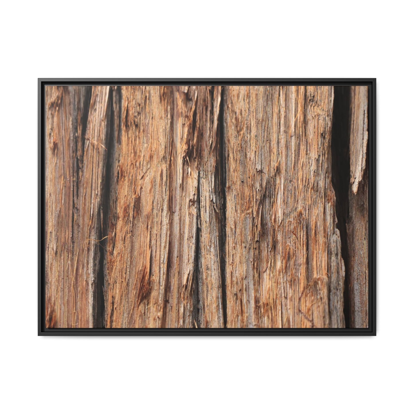 Timber Echoes - Unique Stretched Canvas Wall Art