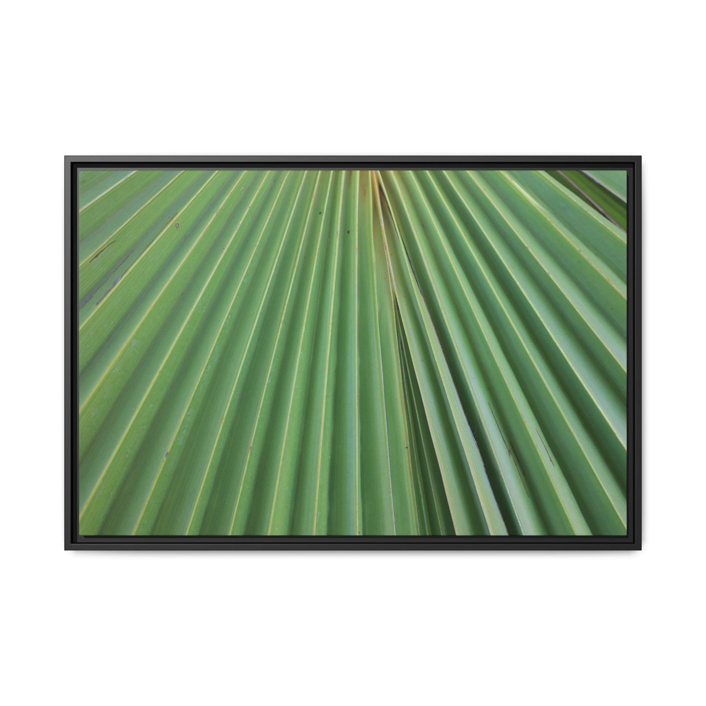 Verdant Veins - Unique Stretched Canvas Wall Art