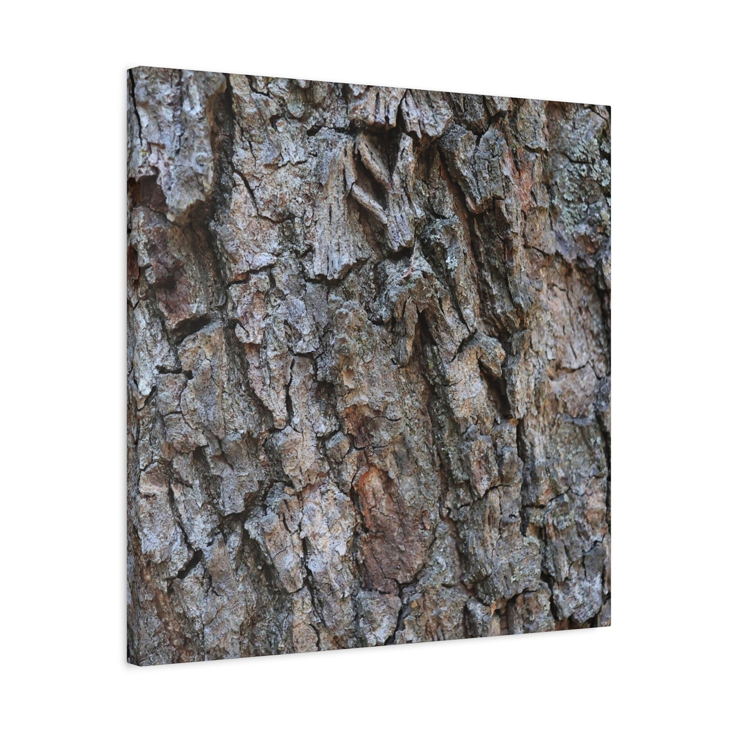 Rugged Canvas - Unique Frameless Canvas Wall Art