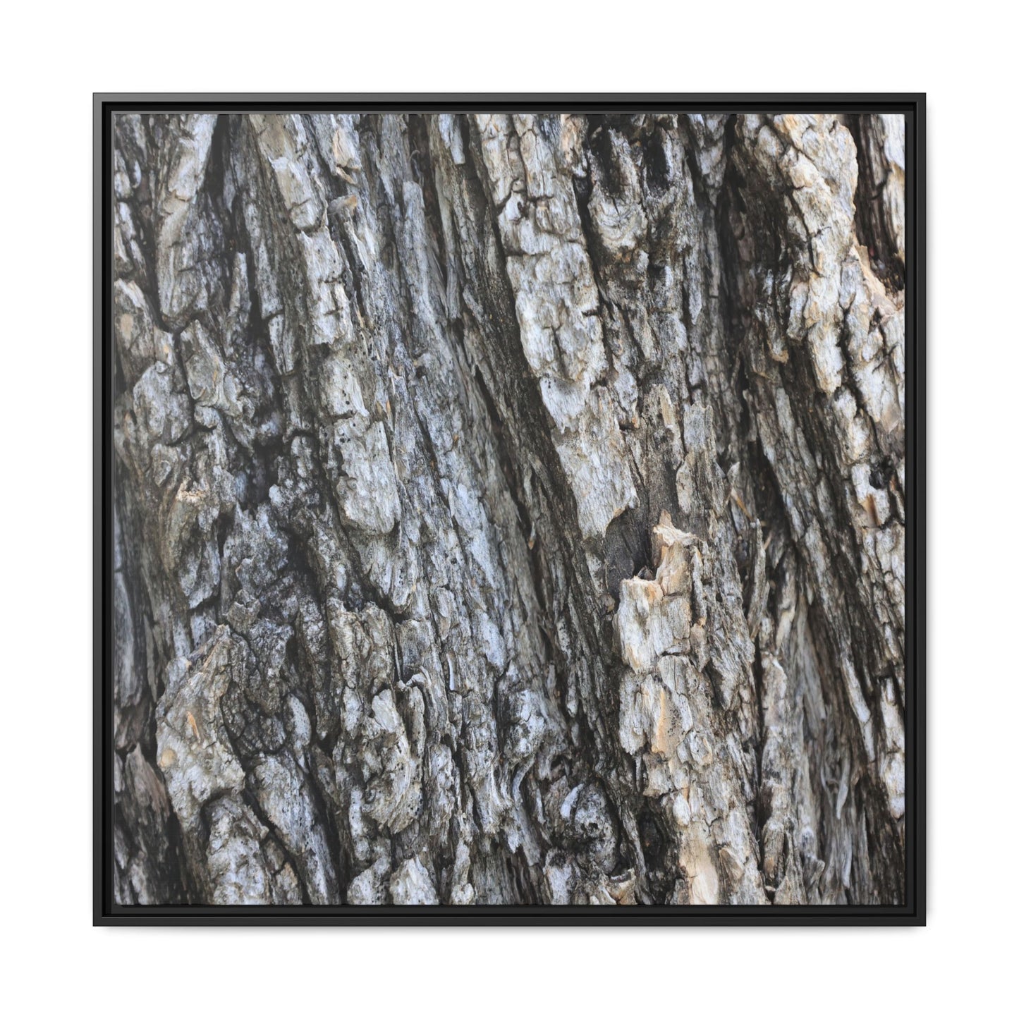 Twisted Textures - Unique Stretched Canvas Wall Art