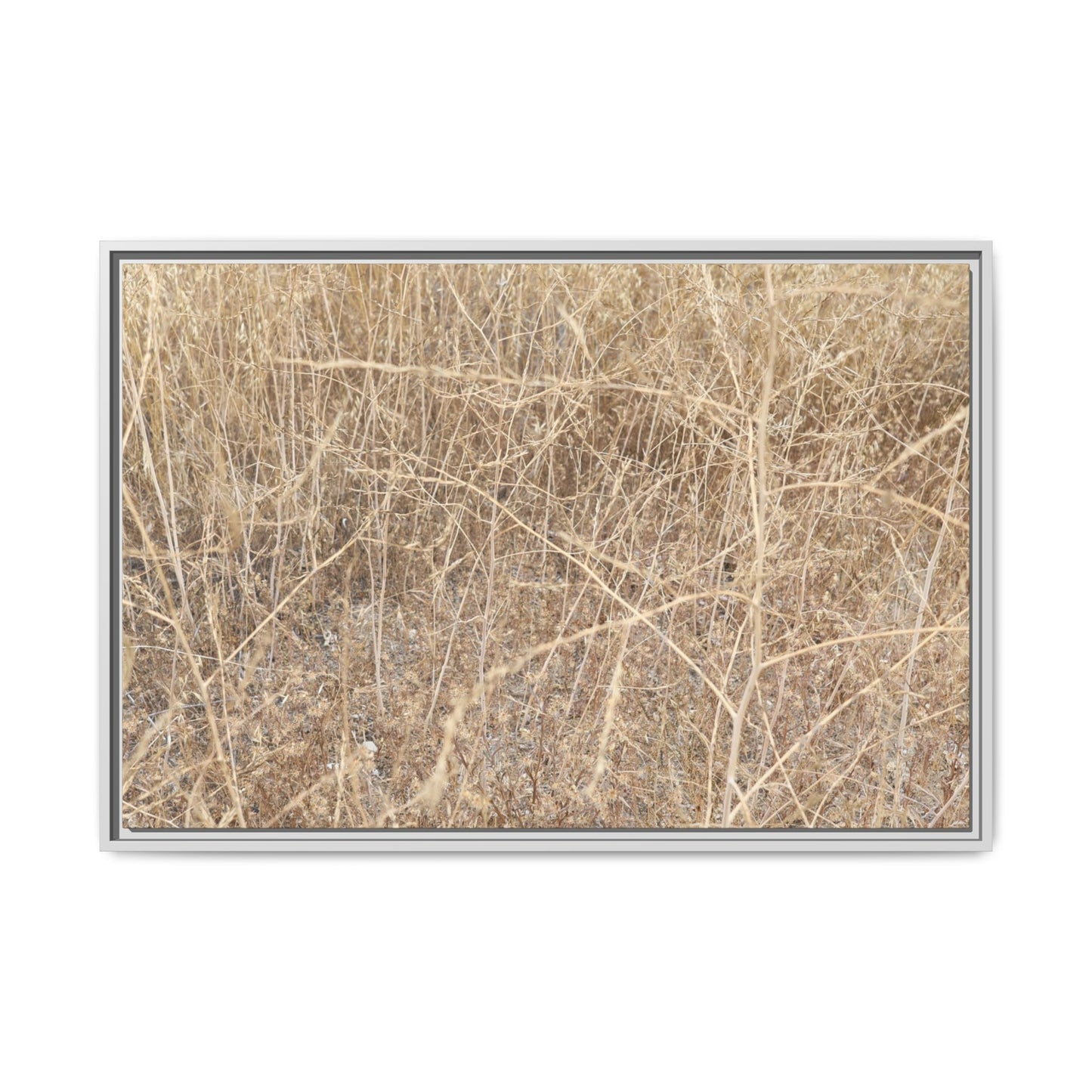Golden Stalks - Unique Stretched Canvas Wall Art