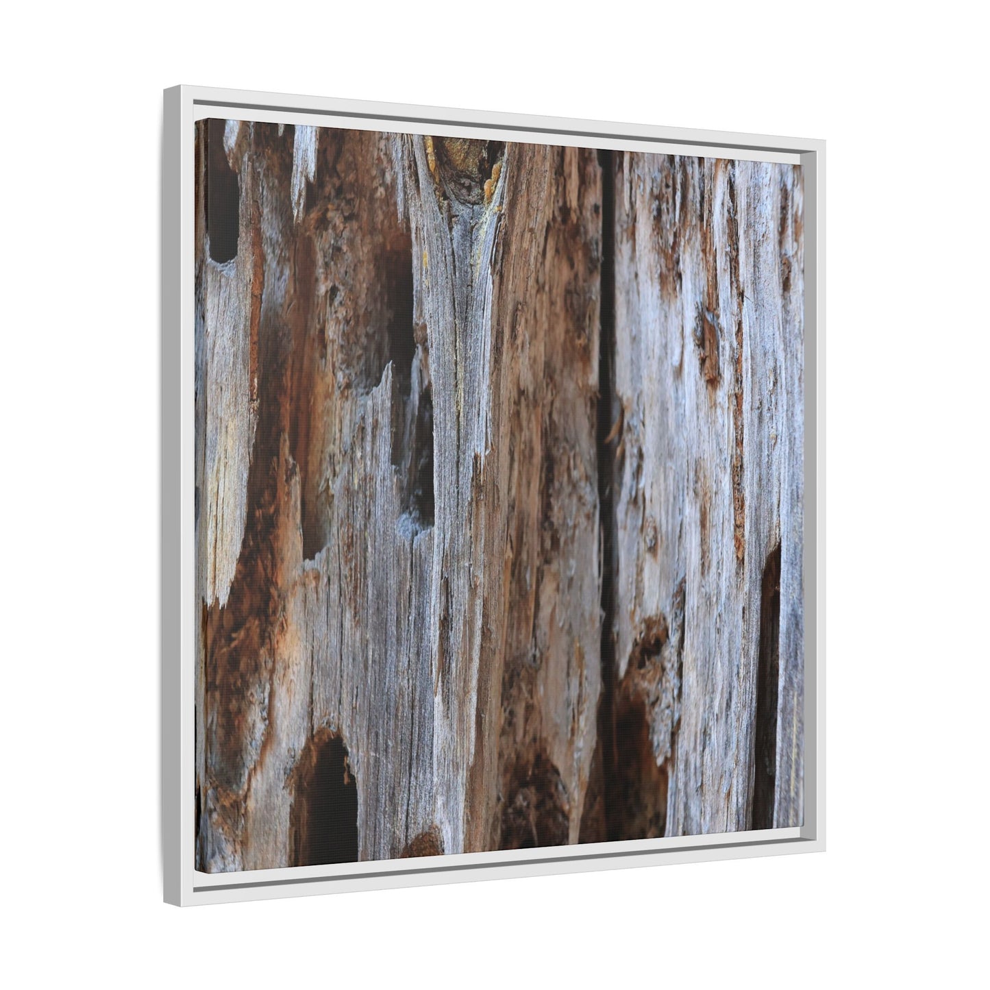 Decaying Splendor - Unique Stretched Canvas Wall Art