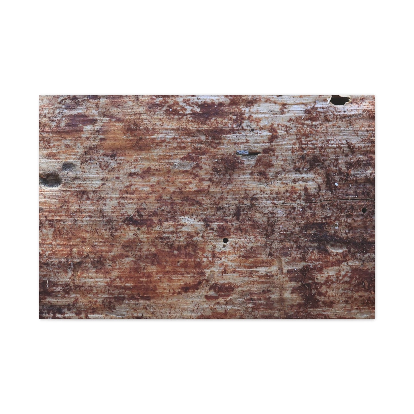 Decaying Memoir - Unique Frameless Canvas Wall Art