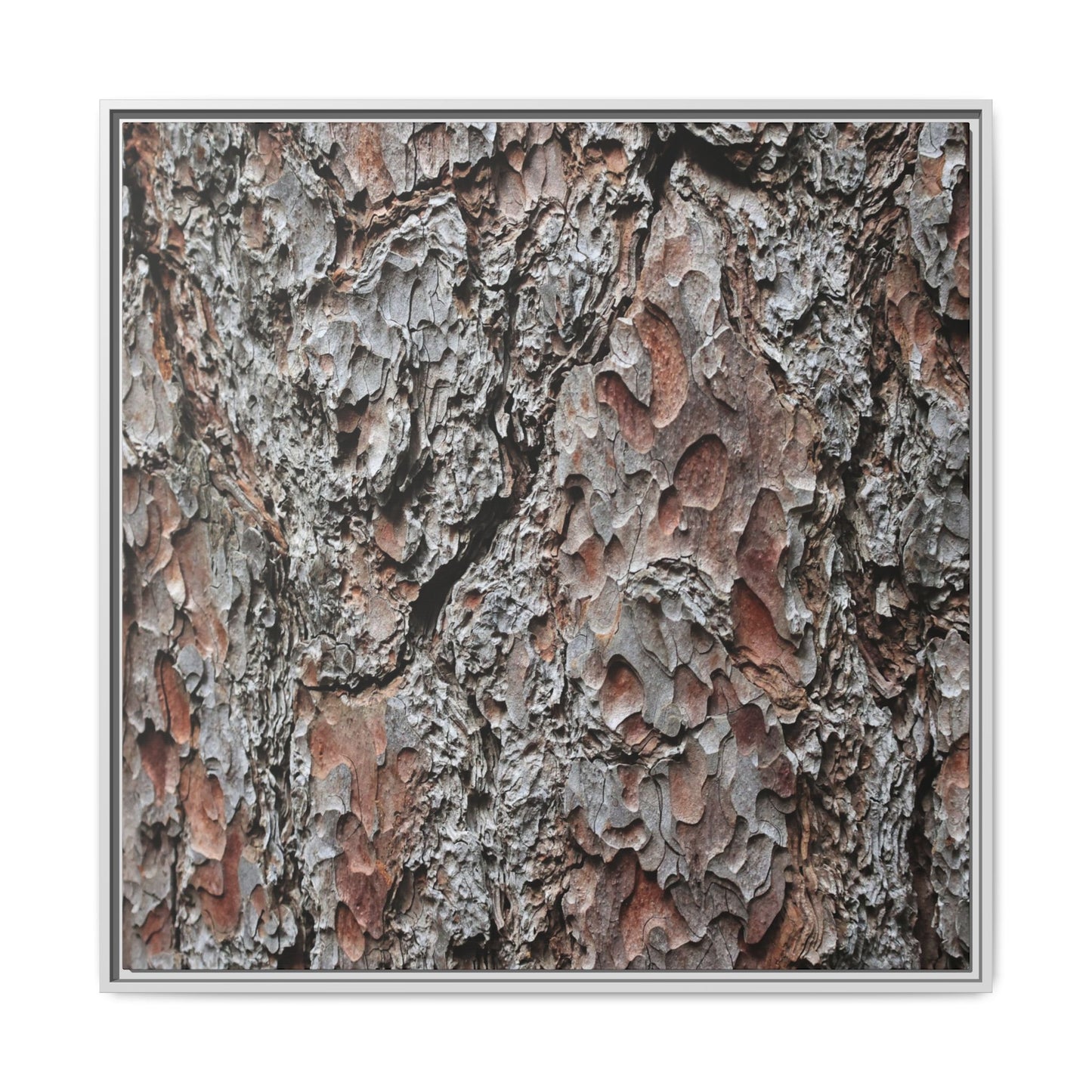 Bark Texture Symphony - Unique Stretched Canvas Wall Art