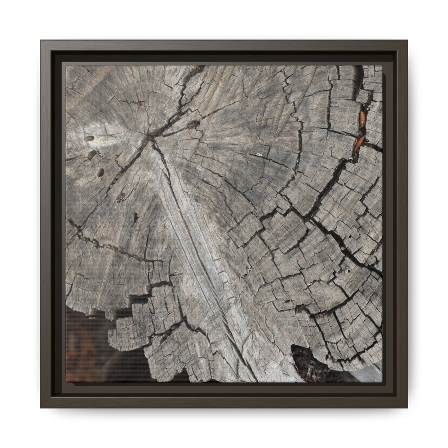 Time's Signature - Unique Stretched Canvas Wall Art
